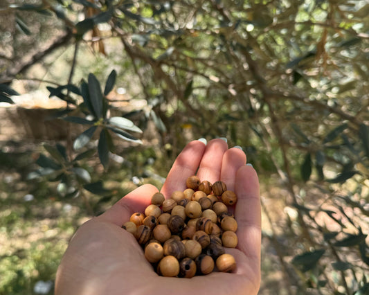 Olive Wood Holyland Round Beads from Holyland for Jewelry, Gifts and Crafts - in Various Quantities (10mm - 12mm - 14mm)